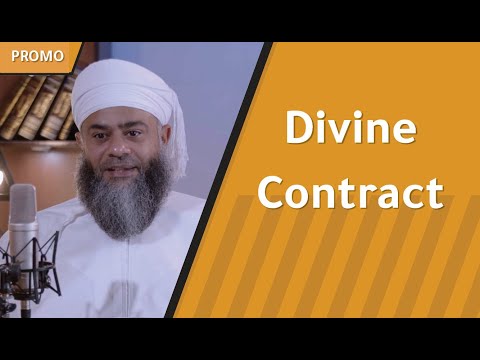 Divine Contract – Next episode of #dome_podcast