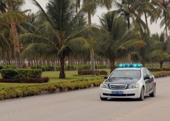 ROP issues guidelines for vehicle decoration on 52nd National Day