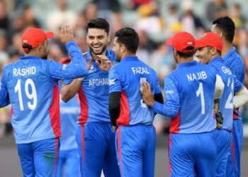 Maxwell’s fifty, Zampa’s two-wicket guide Australia to 4-run win over Afghanistan in thriller