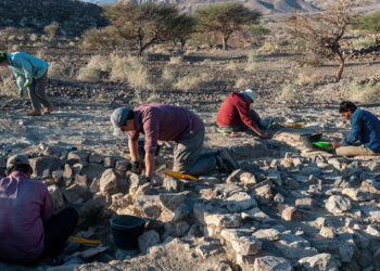 Survey, excavation programmes inaugurated in various governorates in Oman