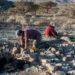 Survey, excavation programmes inaugurated in various governorates in Oman 8 Survey, excavation programmes inaugurated in various governorates in Oman