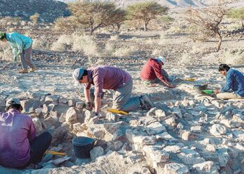 Archaeological surveys and excavation programmes launched in various governorates in Oman