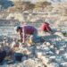 Archaeological surveys and excavation programmes launched in various governorates in Oman 12 Archaeological surveys and excavation programmes launched in various governorates in Oman