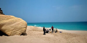 Environment Authority launches second phase of  turtle tracking project in Oman