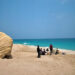 Environment Authority launches second phase of  turtle tracking project in Oman