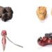 Embassy of Japan to co-host netsuke expo at GUtech in Oman