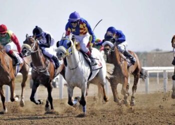 National Day Cup Race to be held at Al Rahba Racecourse on Saturday