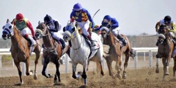 National Day Cup Race to be held at Al Rahba Racecourse on Saturday