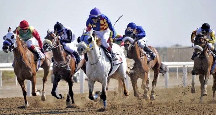 National Day Cup Race to be held at Al Rahba Racecourse on Saturday 1 National Day Cup Race to be held at Al Rahba Racecourse on Saturday