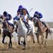 National Day Cup Race to be held at Al Rahba Racecourse on Saturday