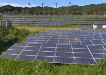 India saves $4.2bn in fuel costs via solar generation in first half of 2022: Report