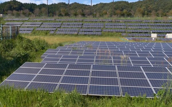 India saves $4.2bn in fuel costs via solar generation in first half of 2022: Report