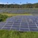 India saves $4.2bn in fuel costs via solar generation in first half of 2022: Report