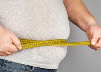 It’s confirmed! Processed food key to rising obesity