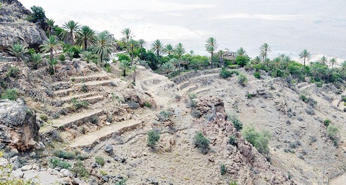 We Love Oman: Terraced gardens of Wakan Village