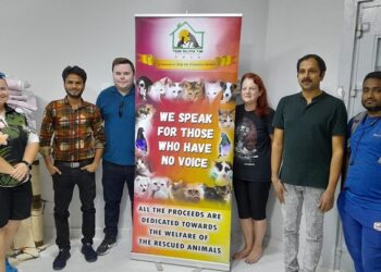 Greater awareness needed to tackle stray animals