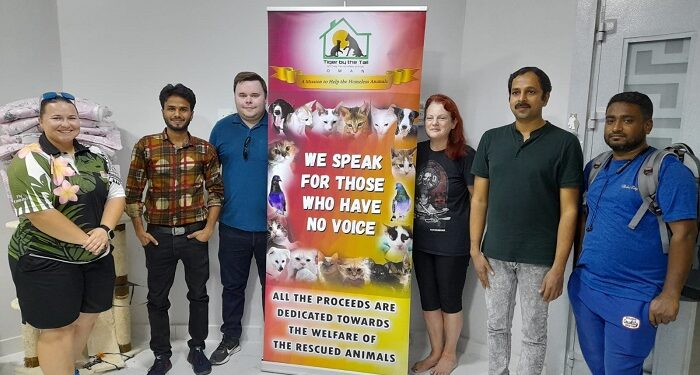 Greater awareness needed to tackle stray animals