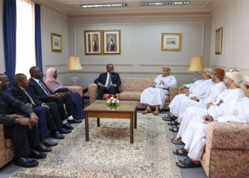 Diplomatic Affairs Undersecretary receives Tanzanian official