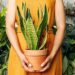 Are you a new plant parent? 8 Are you a new plant parent?