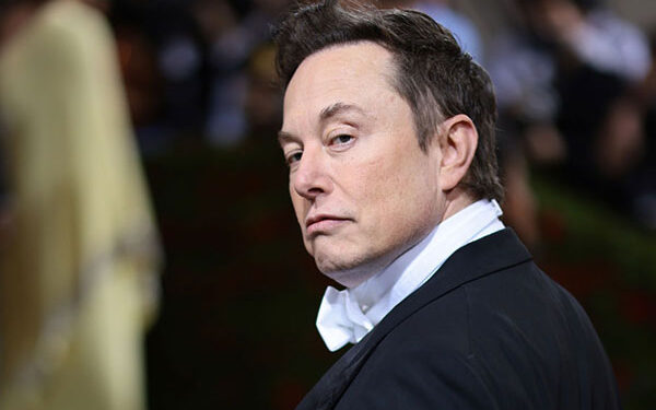 Twitter accounts to be verified with three colours from next week: Elon Musk
