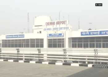 Four exotic animals found in air passenger’s luggage at Chennai airport