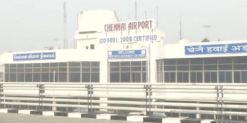 Four exotic animals found in air passenger’s luggage at Chennai airport