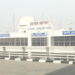 Four exotic animals found in air passenger’s luggage at Chennai airport