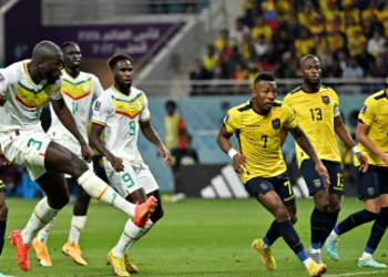 FIFA WC: Senegal storm into round of 16 for first time since 2002, down Ecuador 2-1