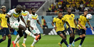 FIFA WC: Senegal storm into round of 16 for first time since 2002, down Ecuador 2-1