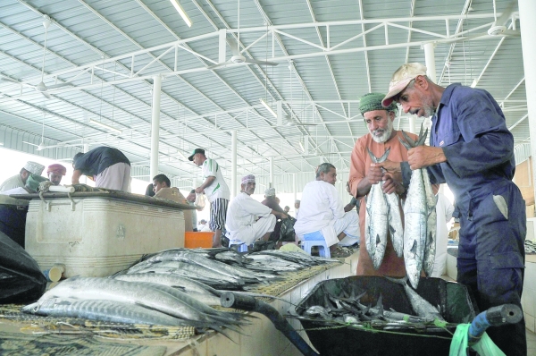 Value of fish output tops RO 226 million