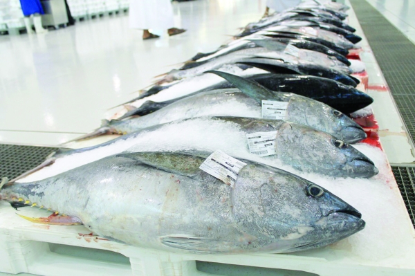 Oman Fisheries concludes pact with Saudi fisheries firm