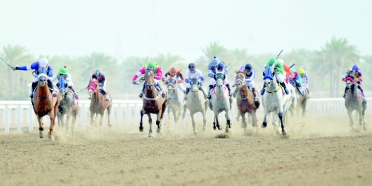 8 أشواط في السباق الرابع لنادي الخيل السلطاني.. غداً