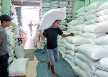 World food prices hold steady in October