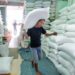 World food prices hold steady in October