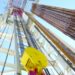 Oman Block 70 drilling reveals ‘strong oil shows’: Maha Energy 8 Oman Block 70 drilling reveals ‘strong oil shows’: Maha Energy