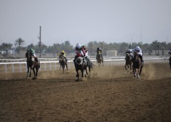 8 أشواط في السباق الرابع لنادي سباق الخيل السلطاني ببركاء