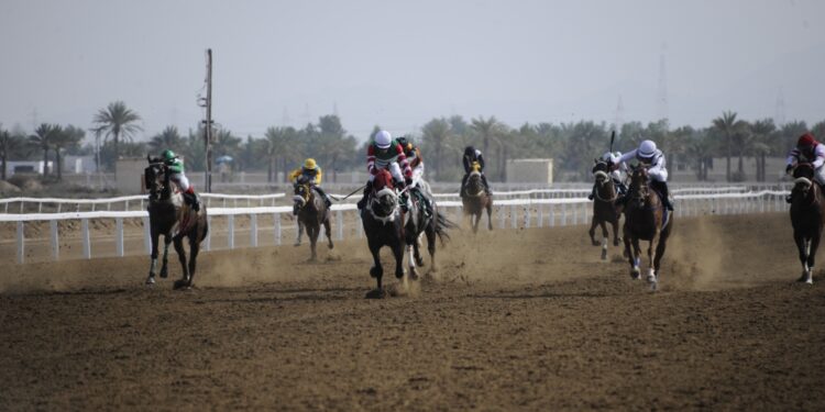 8 أشواط في السباق الرابع لنادي سباق الخيل السلطاني ببركاء