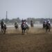 8 أشواط في السباق الرابع لنادي سباق الخيل السلطاني ببركاء