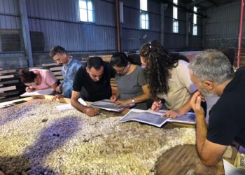 اختتام الدورة التدريبية الميدانية لموزايكون للحفاظ على الفسيفساء الأثري بالمخازن في لبنان