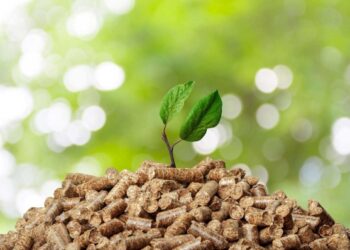 Biomass: A promising resource for renewable energy development in Oman