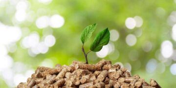 Biomass: A promising resource for renewable energy development in Oman