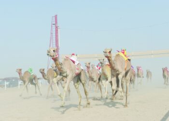 45 شوطا في المحطة الرابعة على مضمار الأبيض بسناو