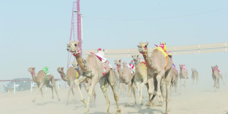 45 شوطا في المحطة الرابعة على مضمار الأبيض بسناو