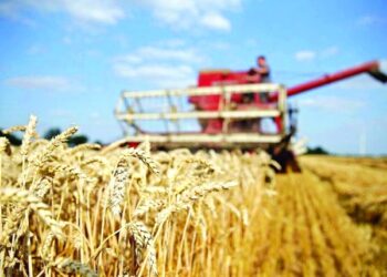 Oman Flour Mills weighs acquisition of Australian farm land