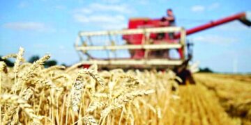 Oman Flour Mills weighs acquisition of Australian farm land