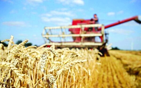 Oman Flour Mills weighs acquisition of Australian farm land