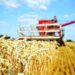 Oman Flour Mills weighs acquisition of Australian farm land