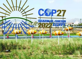 Smallholder farmers in Africa, South Asia get $1.4bn climate boost