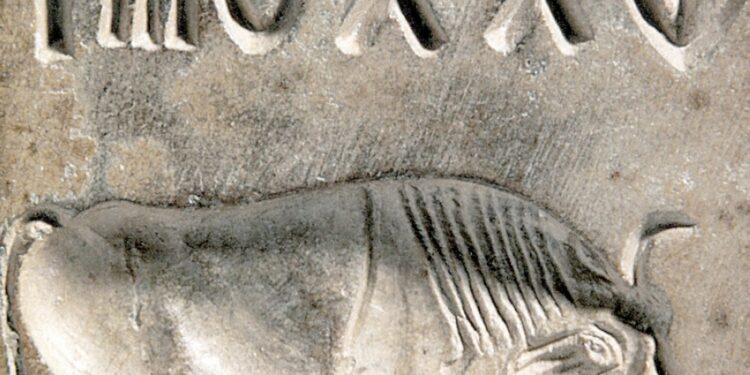 اكتشاف أثري يعود للألفية الثالثة قبل الميلاد في صحم