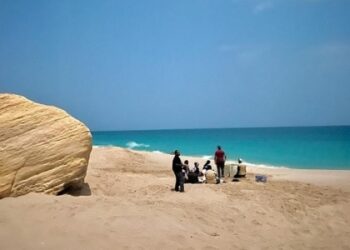 Second phase of Sea Turtles Satellite Tracking Project launched